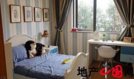 郑州精装房爆料网站最新,品质与价格大揭秘！