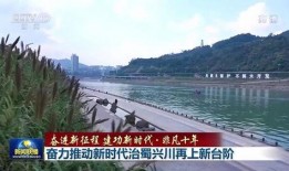 四川宜宾最新爆料新闻,揭秘神秘事件背后的真相