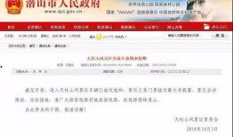 玉林建行最新爆料消息,揭秘银行内部操作与业务创新动态