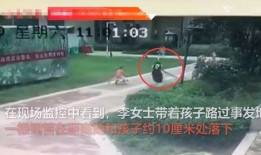 河南一小区爆料事件最新,业主维权引发关注，真相背后引热议