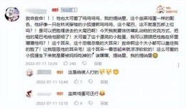 最新爆料疑似须弥人物,揭秘即将亮相的神秘力量