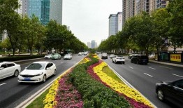 郑州金水路最新爆料,繁华地段惊现神秘项目，揭秘背后故事