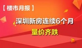 热点爆料深圳新闻最新消息,揭秘城市新动态与重大事件