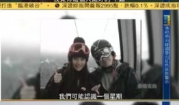 刘芸爆料视频最新版本,事件真相与幕后黑幕大起底