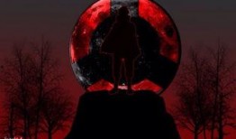 火影忍者双排爆料吧最新