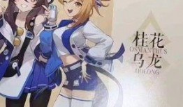 原神最新爆料应该关注谁,揭秘游戏新角色与神秘势力动向