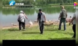 郑州小学爆料事件最新消息,真相揭开，家长震惊不已