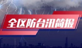 最新爆料频道,行业巨变背后的惊人内幕