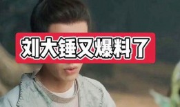 刘大锤最新爆料封面图片,封面图片背后的惊人真相