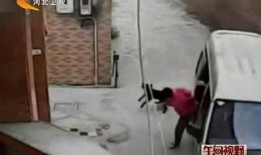 最新偷鱼爆料视频大全图片