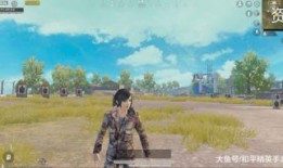 和平精英新军需爆料最新,神秘军需曝光，战火再燃！