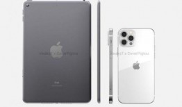 ipad mini最新爆料,全新爆料揭示设计升级与性能革新！