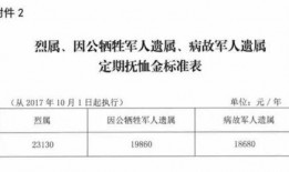 四川恋人爆料最新消息新闻,揭秘最新恋情动态，情感故事再掀波澜