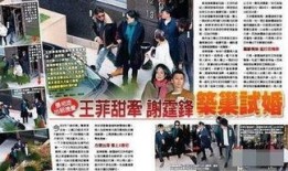 港媒最新爆料新闻,惊天大案背后惊人内幕揭露