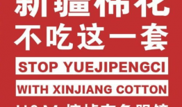 新疆最新新闻爆料视频大全,视频大全揭示热点事件与民生动态