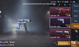 pubg国际服体验服最新爆料,最新Pubg国际服体验服爆料，全新内容即将上线！