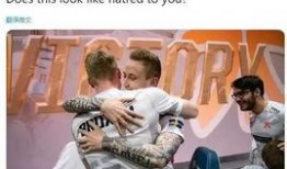 fnc最新爆料,揭秘电竞战队背后的秘密与挑战