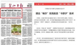 肇东最新爆料新闻报道内容,揭秘事件背后惊人真相