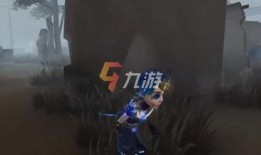 入殓师最新爆料金皮,金皮之谜，揭开生死轮回的神秘面纱