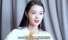 刘大锤最新爆料宋轶视频,神秘片段引网友热议