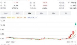 天康最新爆料信息,揭秘行业变革背后的秘密与机遇