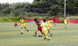 足球爆料假球视频大全最新,最新假球视频大全深度剖析