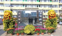 中花校园最新版爆料,揭秘校园风云与青春故事