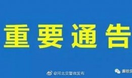 文安网友爆料新闻最新,揭秘当地惊人事件真相