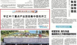 平江最新爆料新闻报道网,揭秘背后惊人真相