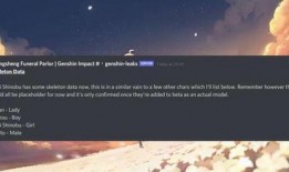 原神最新爆料应该关注谁,揭秘游戏新角色与神秘势力动向